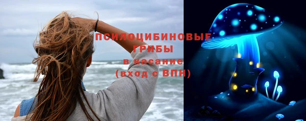 ПСИЛОЦИБИНОВЫЕ ГРИБЫ Ростов