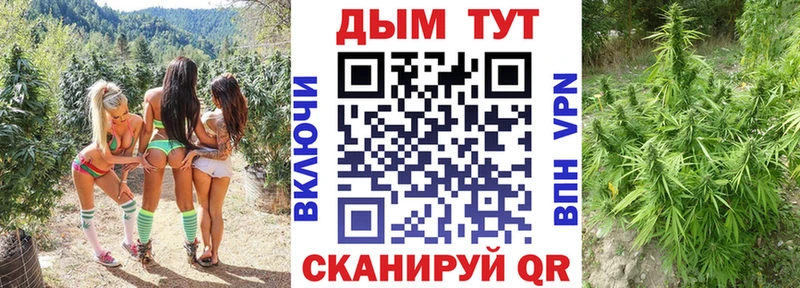 mega сайт  Рассказово  МАРИХУАНА ГИДРОПОН 